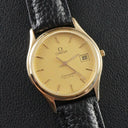 Omega Seamaster Quartz 196.0251