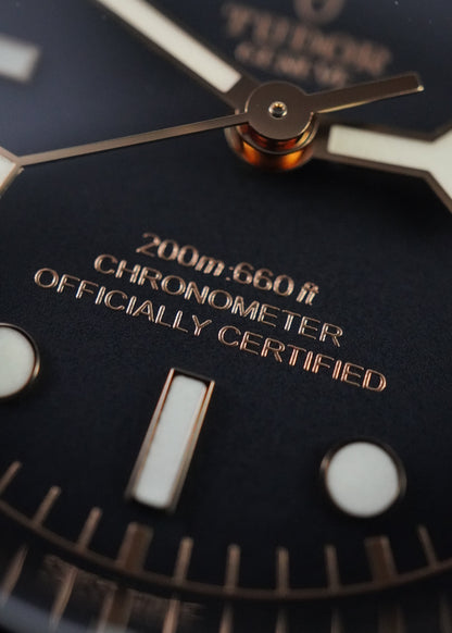 Montre Tudor Black Bay 41 79230N