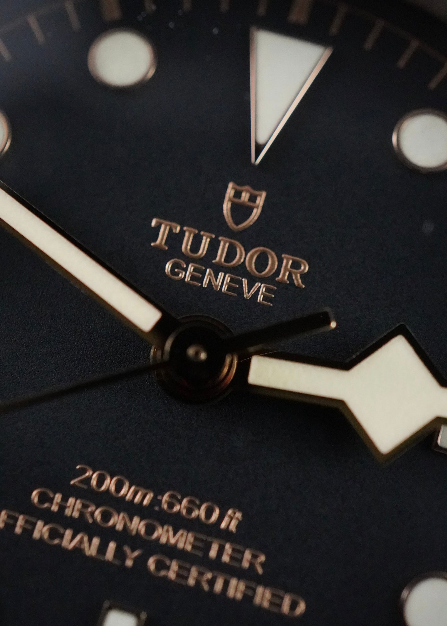 Montre Tudor Black Bay 41 79230N