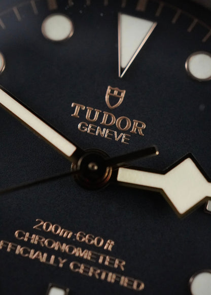 Montre Tudor Black Bay 41 79230N